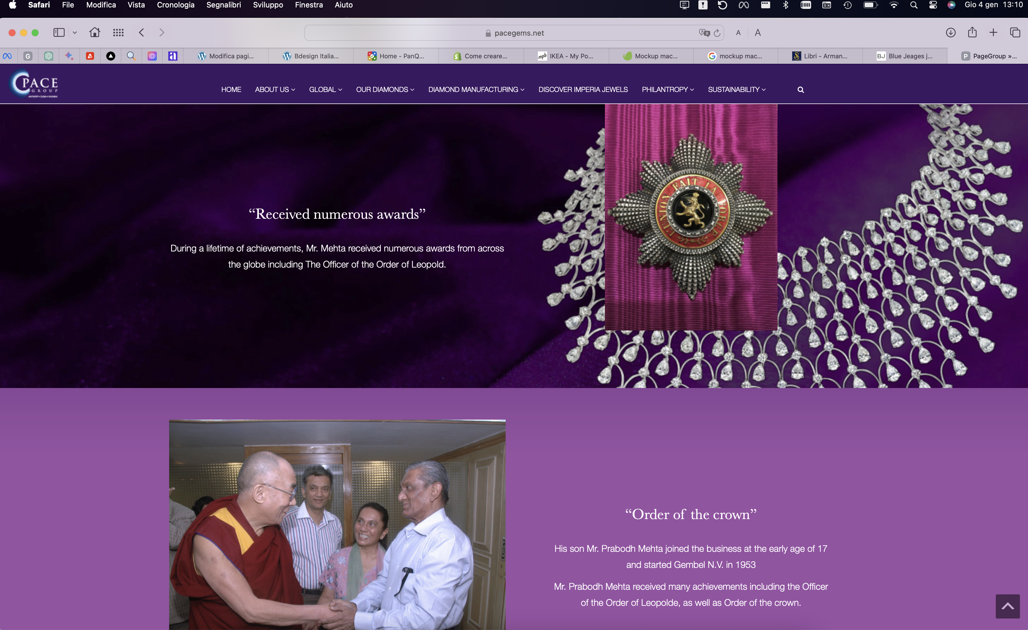 Pace Gems Diamond Mumbai - Antwerp - Dubai